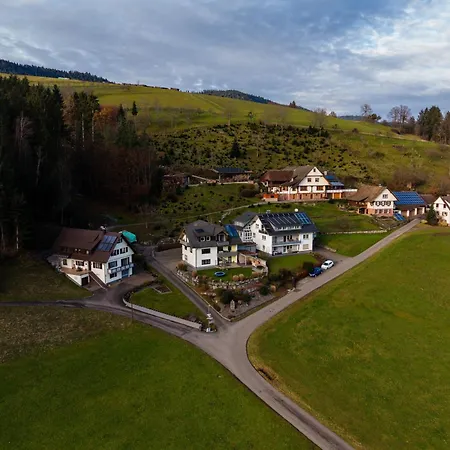 Brandenkopfblick Oberharmersbach