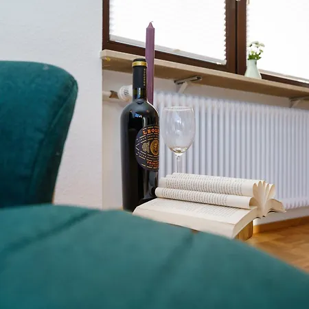 Brandenkopfblick Apartment Oberharmersbach